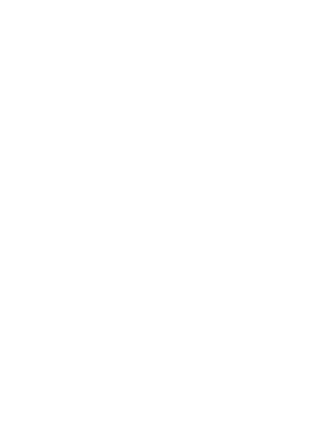 One Wordpress Platform Website